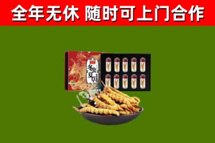东兴回收冬虫夏草价格