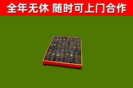 东兴回收海参